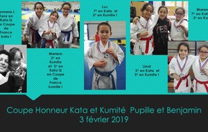 Resultats Coupe Honneur Kata et Kumite pupille et bejamin.