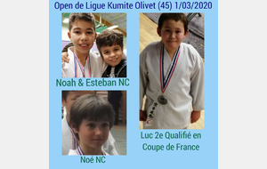 Résultats Open de Ligue Kumite 1/03/2020 🇫🇷