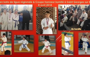Open kata de ligue régionale & Coupe honneur kumité à Saint Georges sur Eure 8 avril 2018